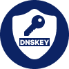 DNSKET Checker icon
